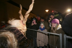 02.12.2017, Kunst, Kultur u. Advent-Markt, Schloss Neugebäude - Kulturverein Simmering - © Andreas Lepsi/KV11